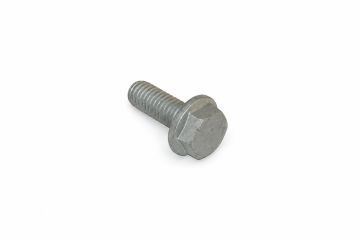 Originele zeskantbout (M10X25)