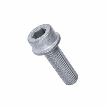 Originele inbusbout met inbus- kop (combi) (M10X1,25X30)