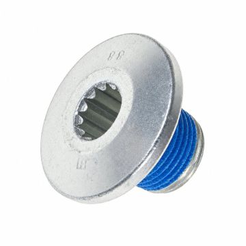 Originele platkopschroef met poly-inbuskop, zelfborgend (M18X1,5X18)