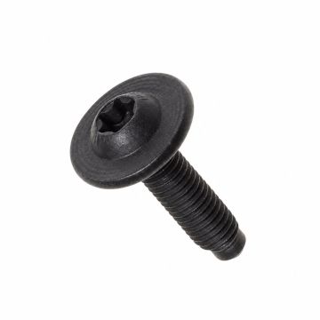 Originele inbus- parker, zelfborgend (M6X25)