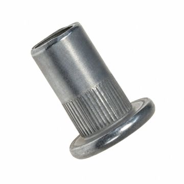 Originele klinknagelmoer (M10)
