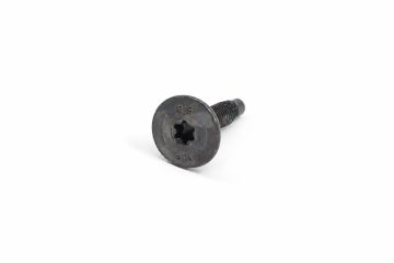 Originele inbusbout (M6X27)