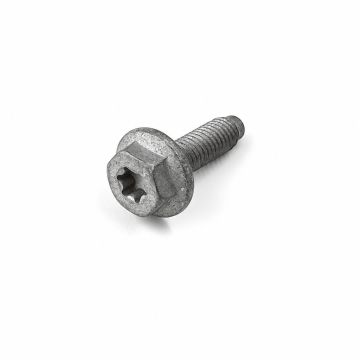 Originele zeskantbout (M6X22)