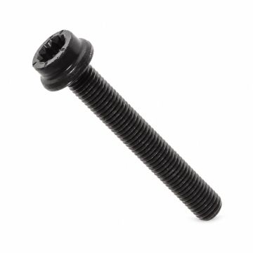 Originele inbuskraagbout met poly-inbuskop (M7X50)
