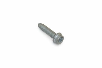 Originele inbuskraagbout met poly-inbuskop (M8X35)