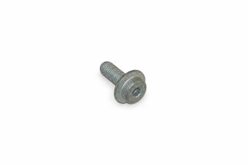 Originele inbusbout met poly- inbuskop (combi) (M10X28)