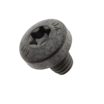 Originele cilinderkopschroef met inwendige torx, zelftappend (M6X7)