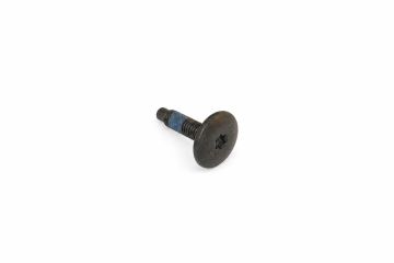 Originele inbusbout met platte kop (M6X25)