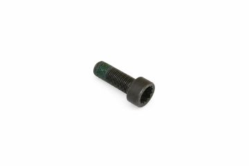 Originele inbusbout met poly-inbuskop (M10X1X27)