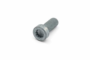 Originele inbusbout met poly-inbuskop (M10X25)
