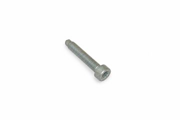 Originele inbusbout met poly-inbuskop (M7X40)
