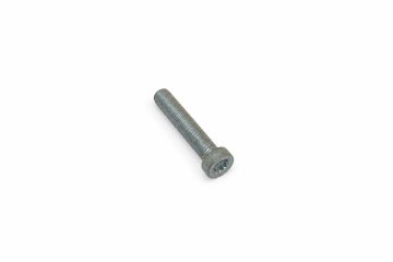 Originele inbuskraagbout met poly-inbuskop (M10X50)