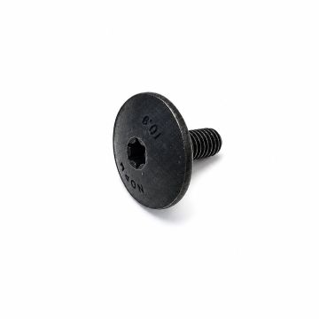Originele inbusbout met platte kop (M6X16)