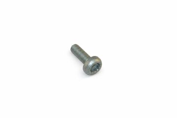 Originele platkopschroef met poly-inbus (M8X25)