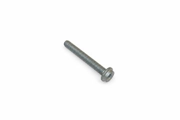 Originele inbuskraagbout met poly-inbuskop (M8X60)