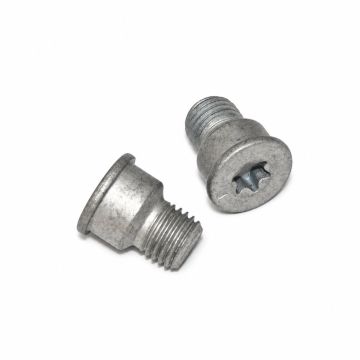 Originele inbusbout met inbus- kop (M12X1,5X16X19)