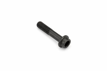 Originele platkopschroef met poly-inbus (M12X1,25X60X30)