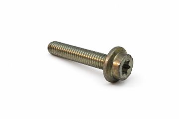 Originele inbusbout (M6X30)