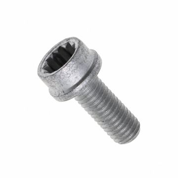 Originele poly-inbusbout (M8X20)