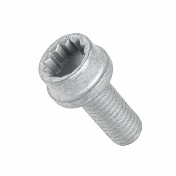 Originele inbuskraagbout (M8X20)