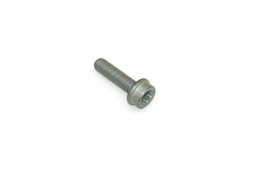 Originele inbusbout (M8X30)