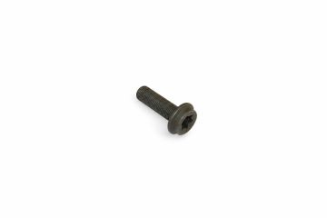 Originele inbusbout met inbus- kop (combi) (M10X1X32)