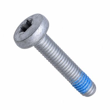 Originele inbusbout met platte kop (M6X30)