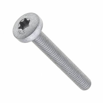 Originele inbusbout met platte kop (M6X45)