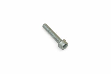 Originele inbuskraagbout met poly-inbuskop (M10X60)
