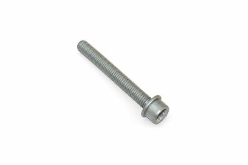 Originele inbusbout met poly- inbuskop (combi) (M8X68)