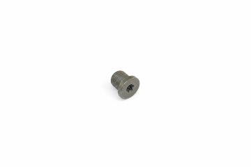 Originele sluitschroef (M10X1X10)