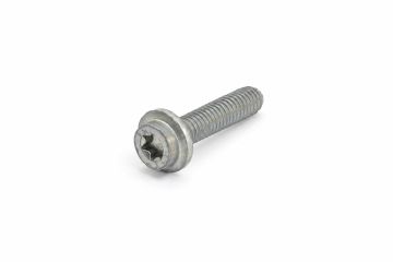 Originele flensbout met inwendige torx (M6X25)