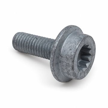 Originele inbusbout (M8X25)