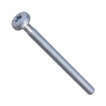 Originele inbusbout (M6X80)