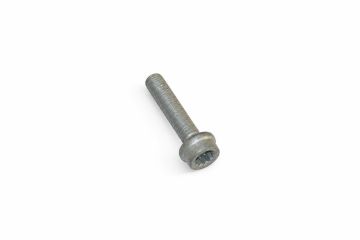 Originele inbuskraagbout met poly-inbuskop (M10X50)