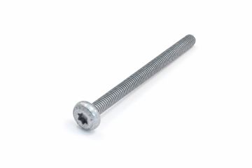 Originele inbusbout met platte kop (AM6X75)