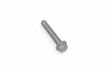 Originele zeskantbout met kraag (M12X75)