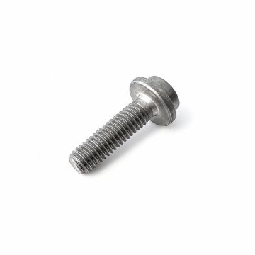 Originele flensbout met inwendige torx (M6X22)