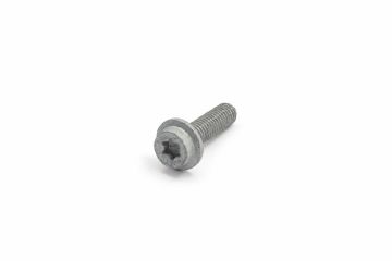 Originele flensbout met inwendige torx (M6X22)