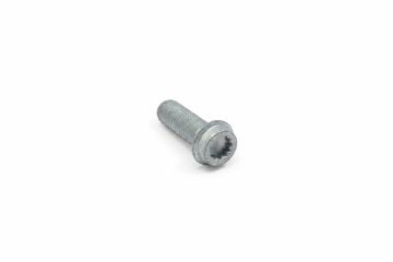 Originele inbuskraagbout met poly-inbuskop (M10X29)
