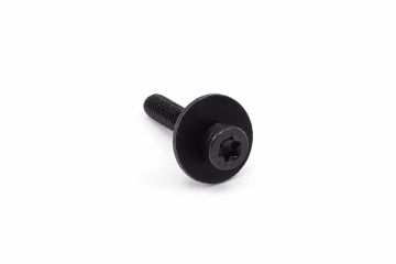 Originele inbus- bout (combi) (M6X30)