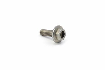 Originele zeskantbout (M8X25)