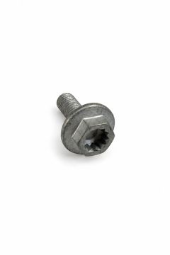 Originele zeskantbout (M8X25)