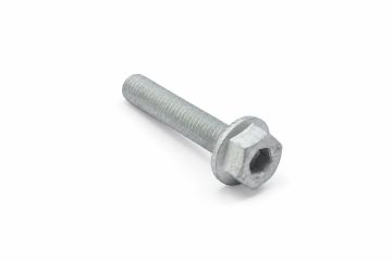 Originele zeskantflensbout (M10X55)