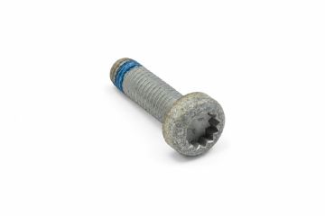 Originele platkopschroef met poly-inbus (M12X40)