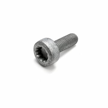 Originele inbusbout met poly-inbuskop (M8X25)