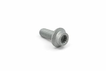 Originele inbusbout met poly-inbuskop (M10X25)