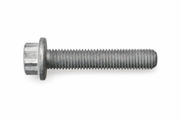 Originele 12-kantkraagbout (M12X60)