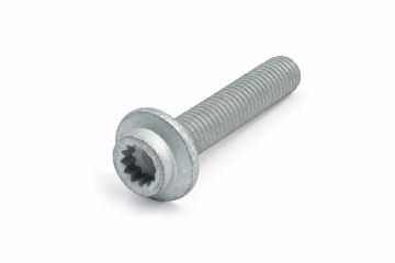 Originele poly-inbusbout (M10X50)