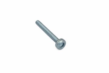 Originele platkopschroef met poly-inbus (M6X52)